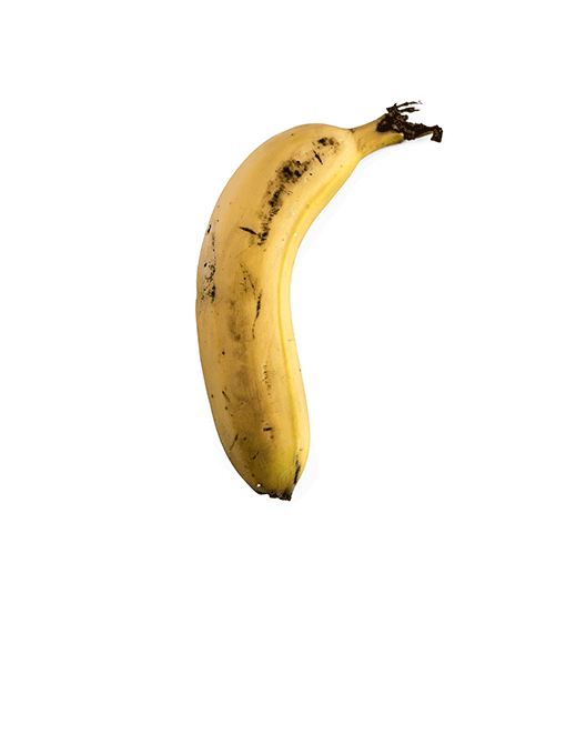 dscf1096.gif