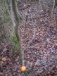 super_201226.jpg