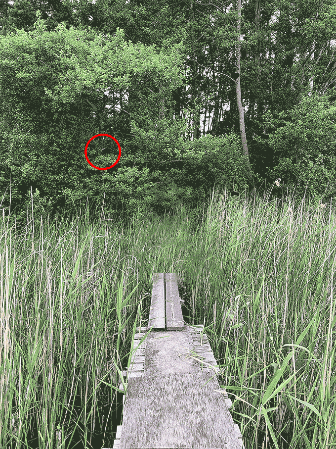 super_220705.gif