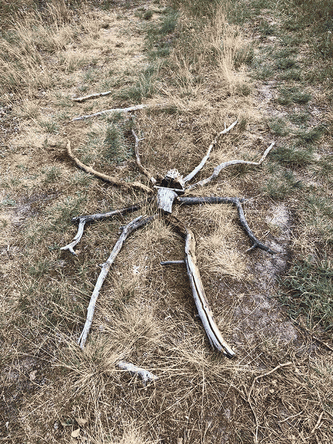 super_220712.gif