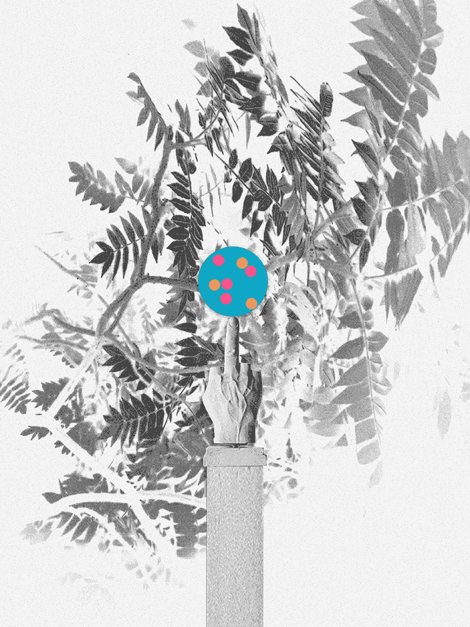 super_220921.gif