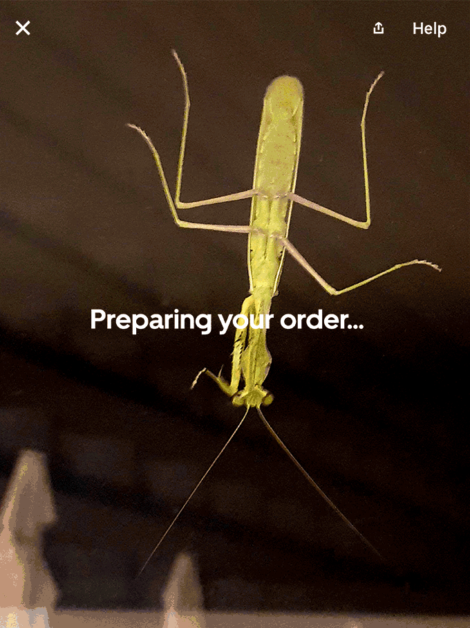 super_221114.gif
