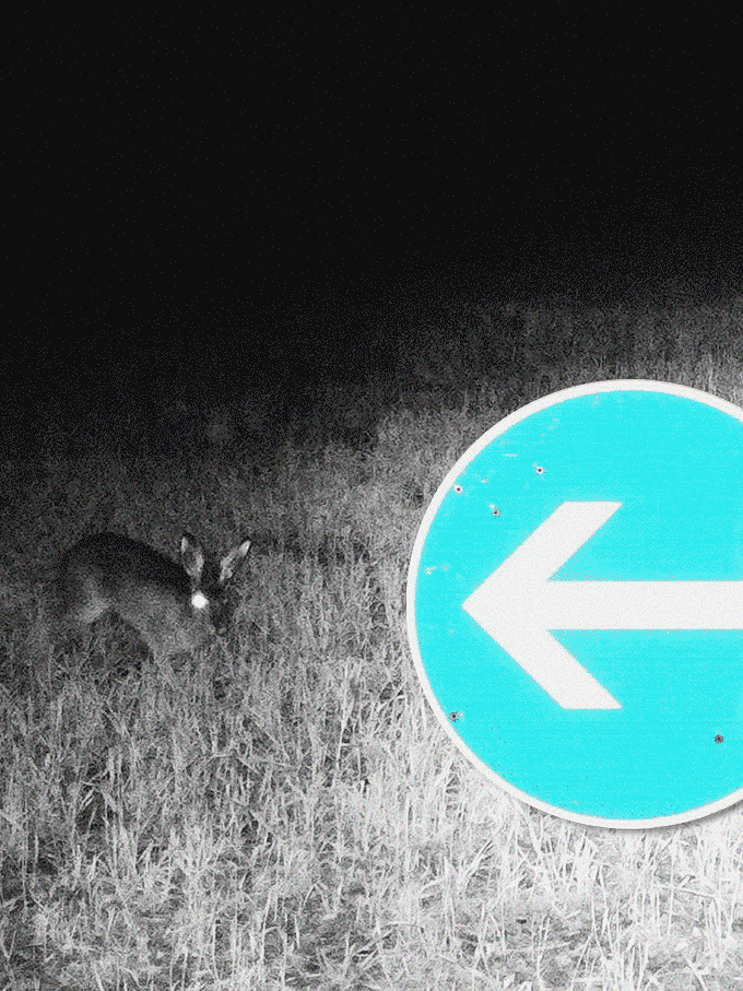 super_230410.gif