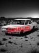 super_2406051.jpg