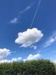 super_240618.jpg