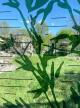 super_260429.jpg